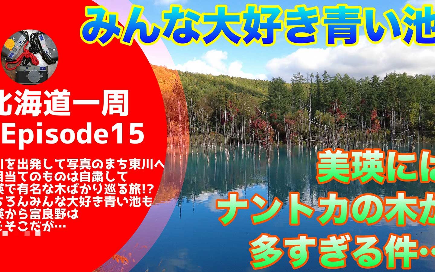 【キャンピングカーじゃなくてもできる】 みんな大好き「青い池」がある美瑛には「ナントカの木」が多すぎる件【北海道一周#15】