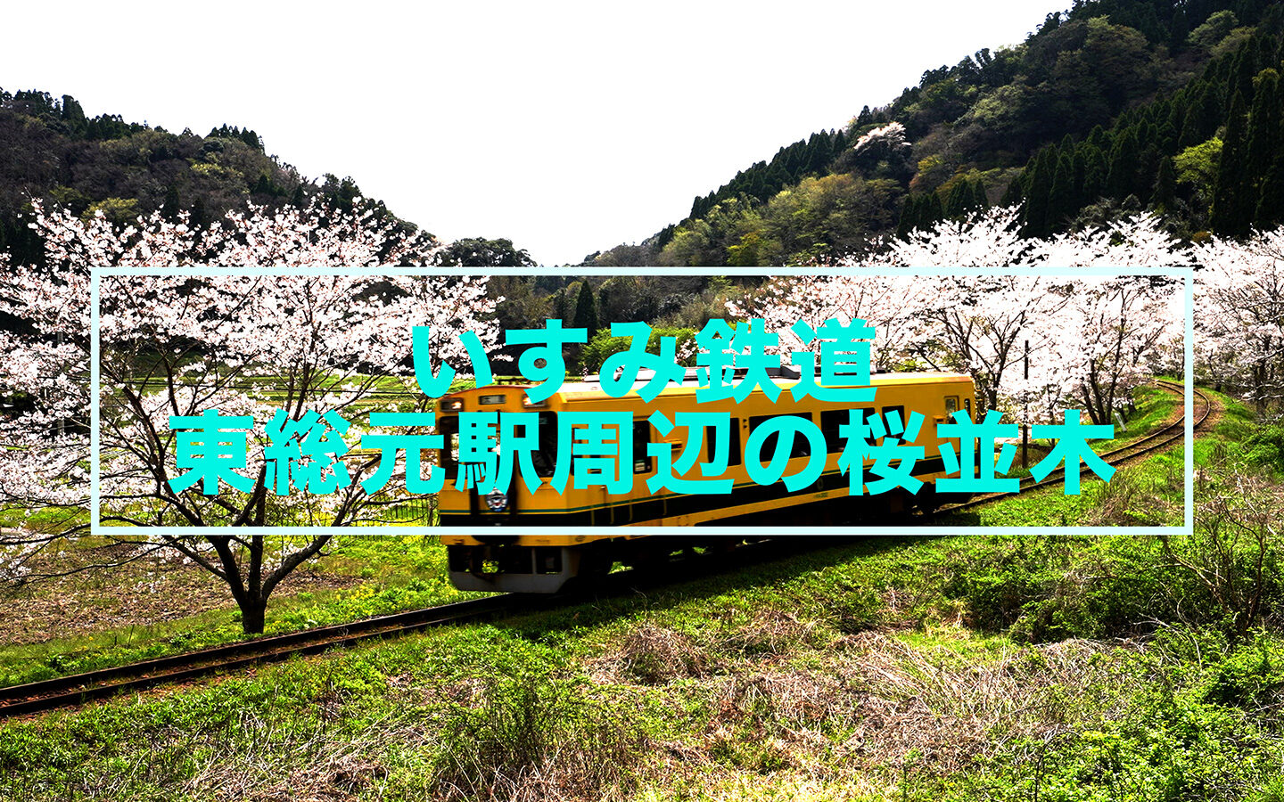 【空撮】いすみ鉄道・東総元駅周辺の桜並木